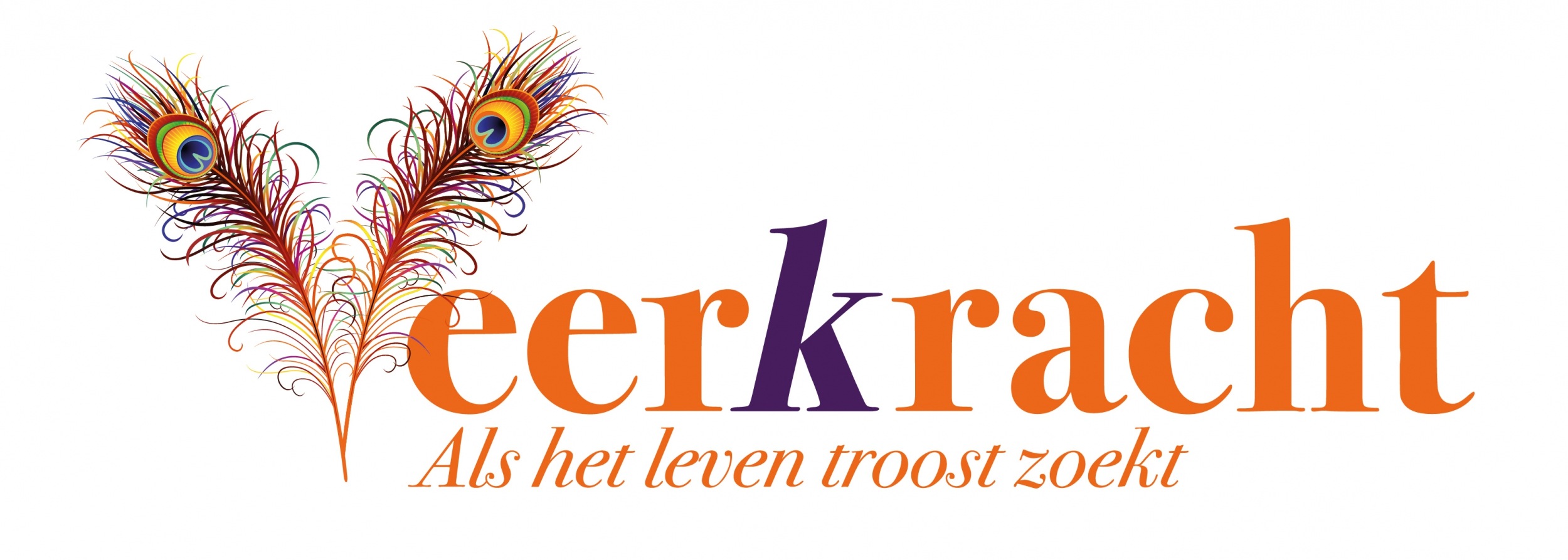 Logo Veerkracht